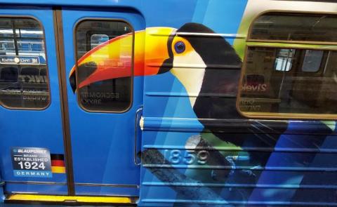  - изображение 5