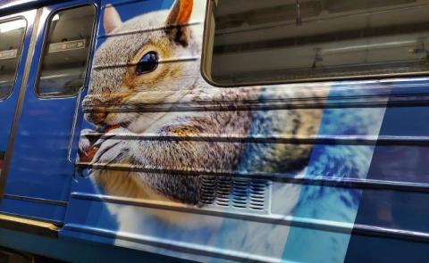  - изображение 6